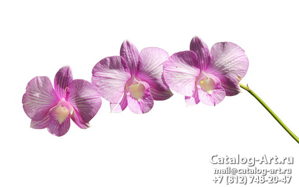 Натяжные потолки с фотопечатью - Розовые орхидеи 3